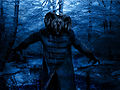 Thumbnail for version as of 13:38, 18 January 2011