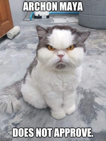 File:ArchonGrumpyCat.jpg